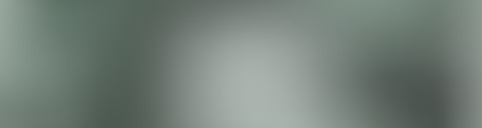 Winner Brothers Production