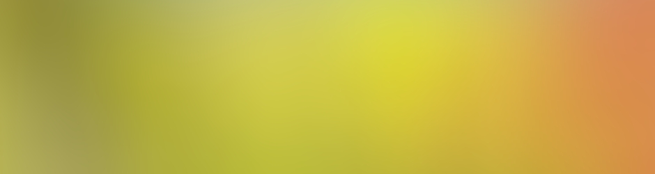 Chanchal Chakrabarti