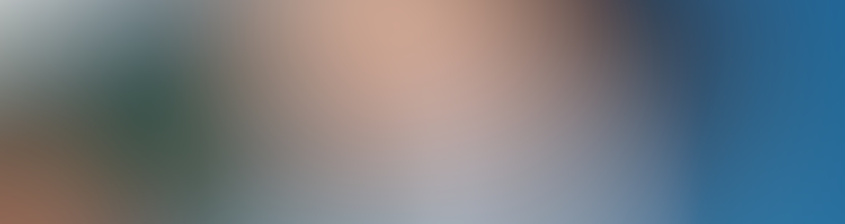 Anna's Car Title Loan