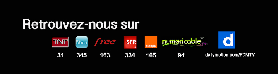 FDM TV France Diversité Média