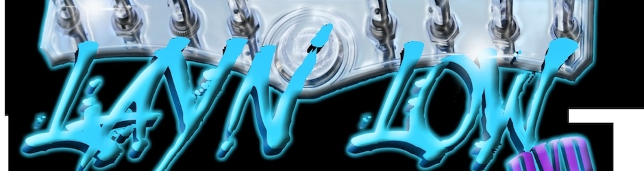 LaynLowDvd