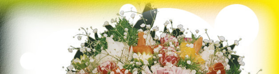 Verdulandia Brunello Luca Treviso