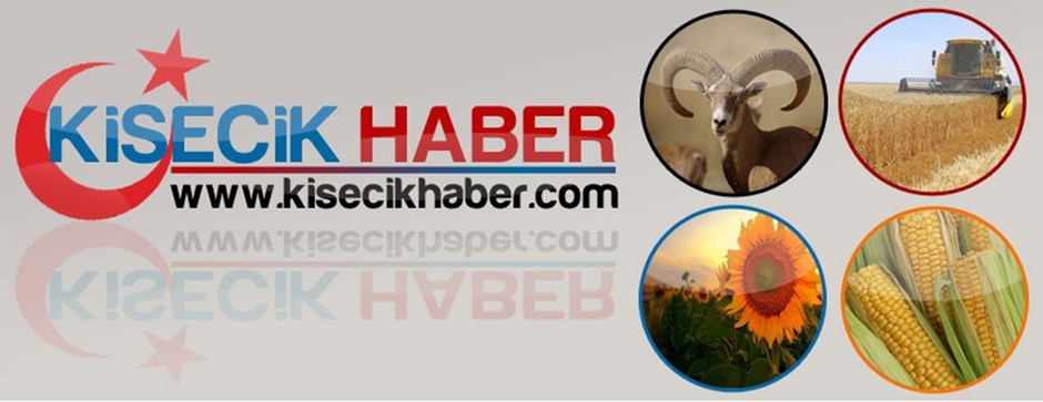 kisecikhaber