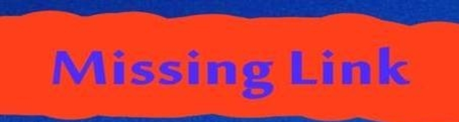 MissingLinkUs