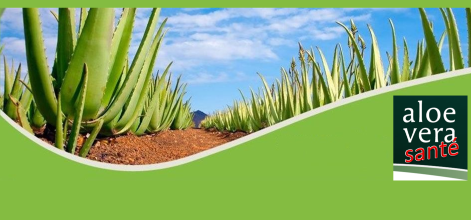 AloeVeraSante