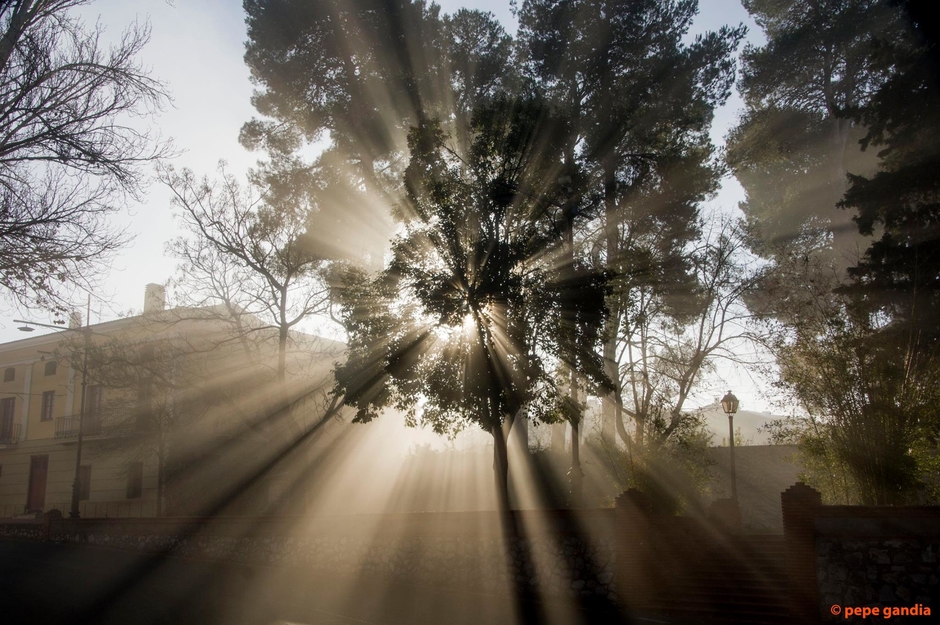 carmen Calabuig López