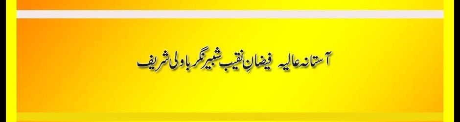 Muhammad sohail shabbiri