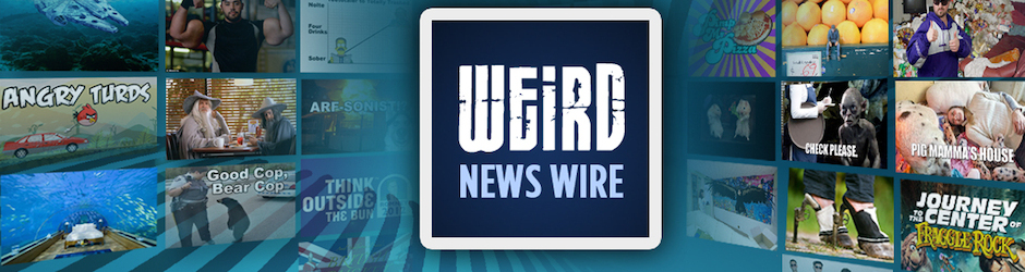 Weird News Wire