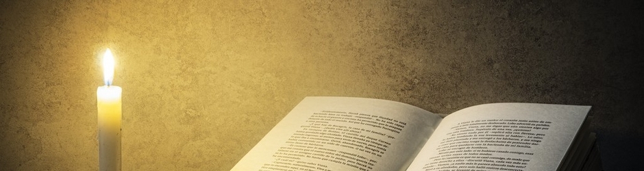 Mª Ascensión Fernández