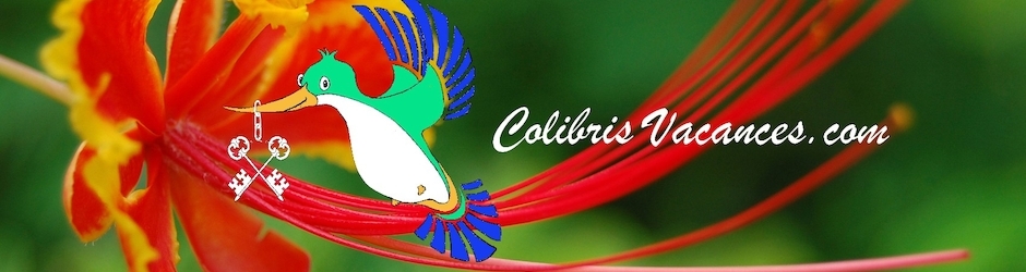 Colibris Vacances