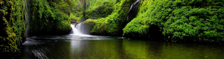Портал Архитектуры