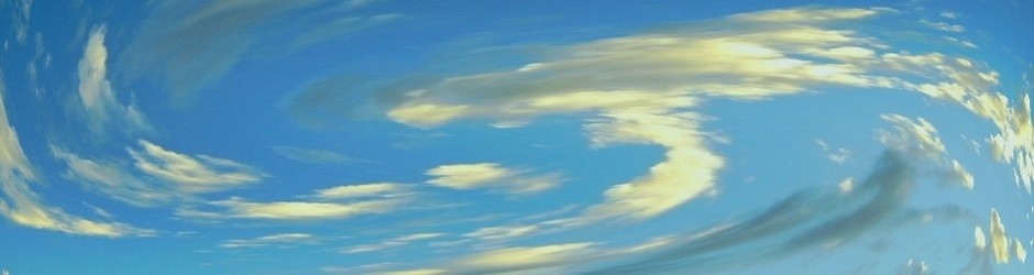 Lecerfvolant Robinson