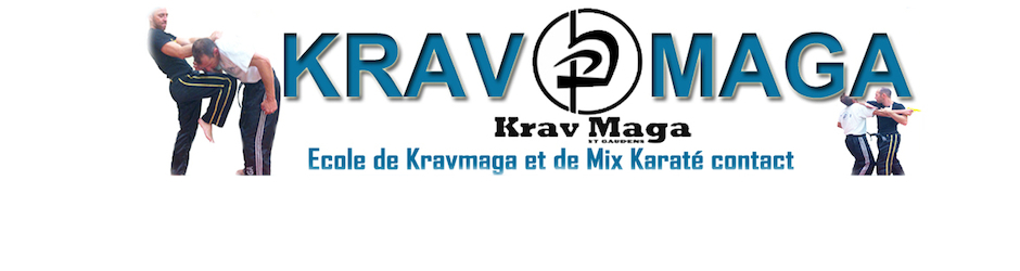 kravmaga saint gaudens