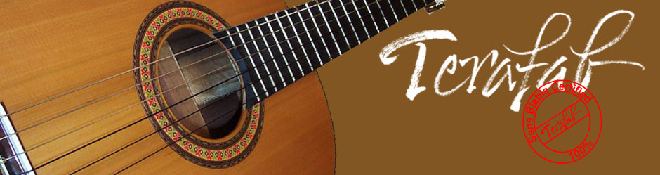 TerafabGuitare