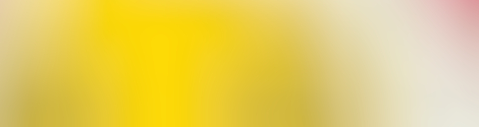 Silvia Salgado Suárez