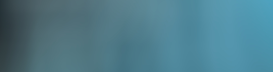 Malik Nafees Bin Rehman