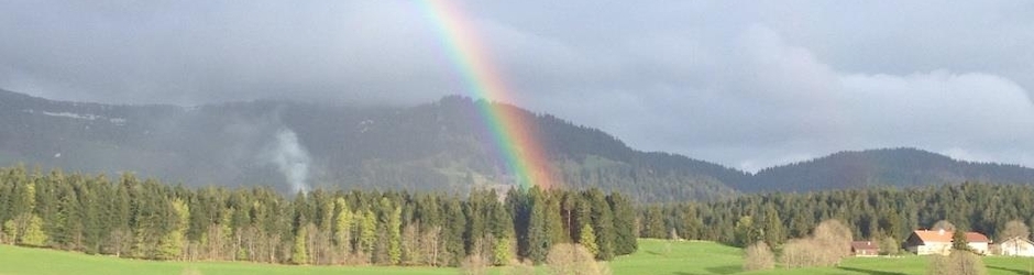 Pasteur Patrice Boyer