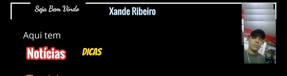 Xande Ribeiro