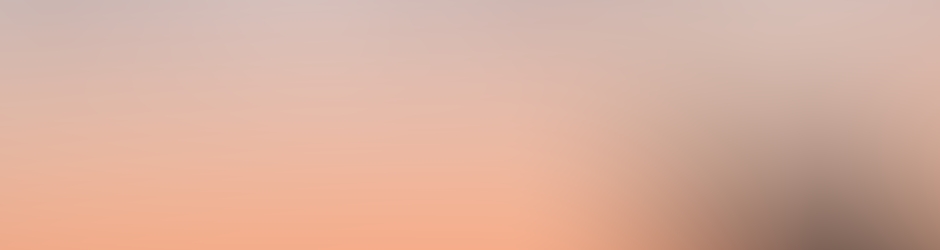 Irving Gastelum Fierro