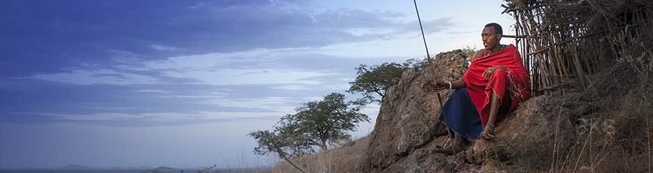 Vladimir Pcholkin, BeekeeperStories