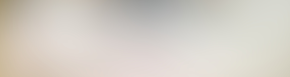 Gönül Erişi Beşikci