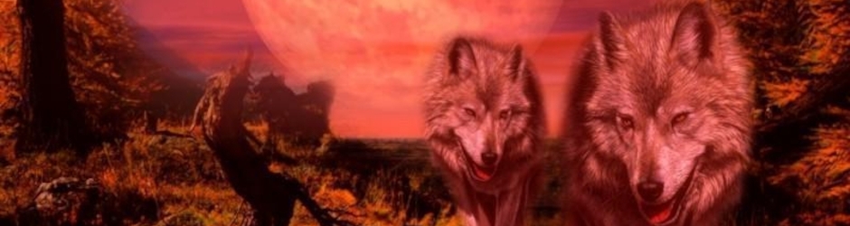 Dayna McColley Hislope