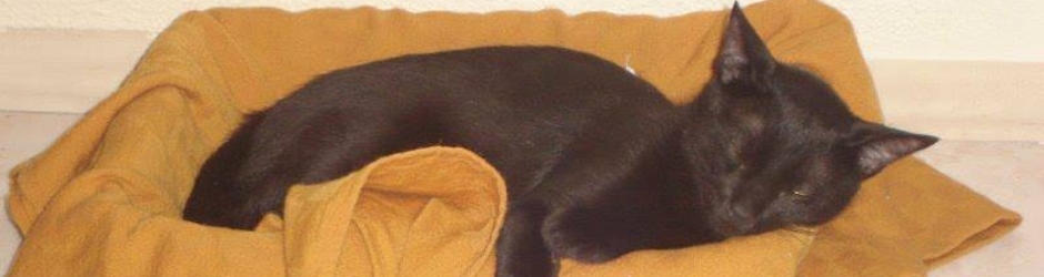 Juliano Azevedo Jeronimo