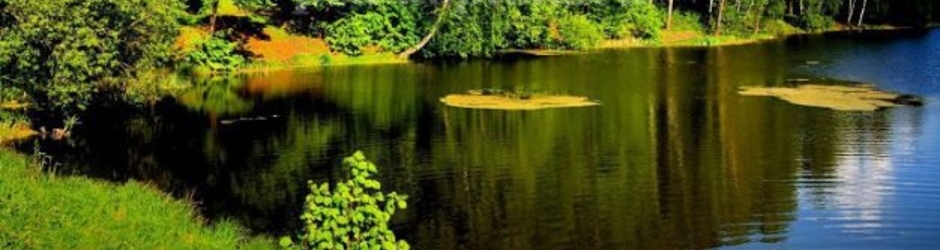 Леонид Морозов