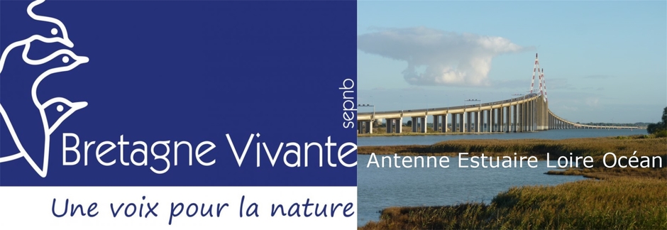 Bretagne Vivante Estuaire Loire Océan