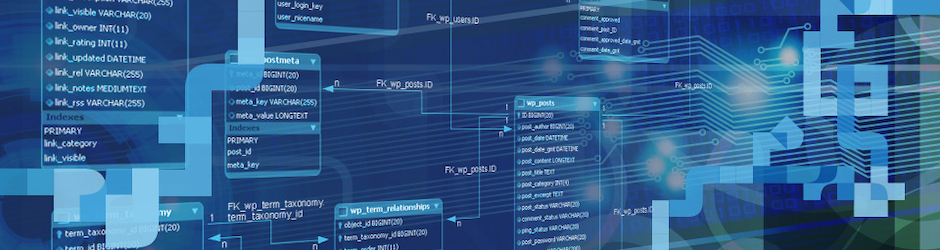 Hassan Muavia Mustafa