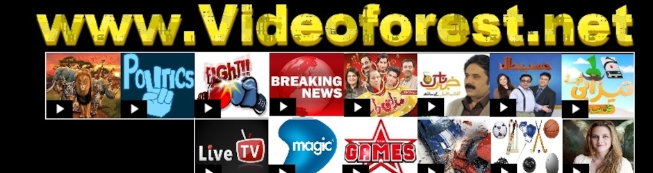 Videos Forest