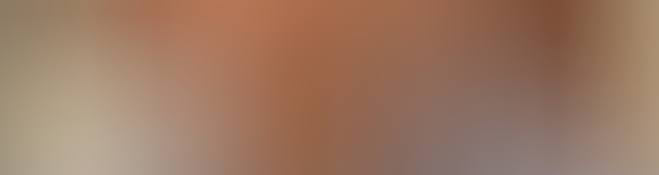 Zen Windows Philadelphia