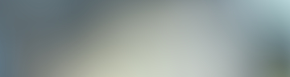 Saul Solis Gutierrez