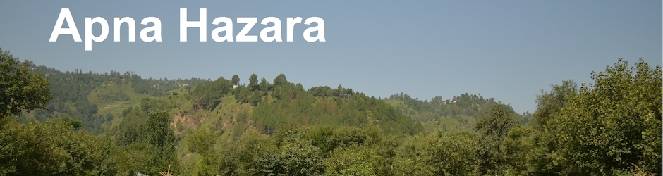 ApnaHazara