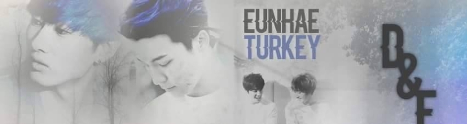 EunHae Turkey