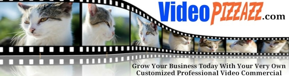 Videopizzazz