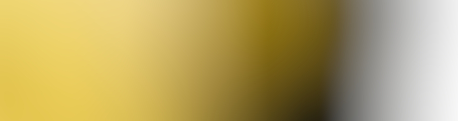 Commercial Bounce Houses