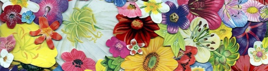 Фансаб группа ZIPPER