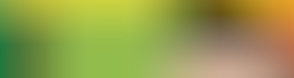 İşkutusu Animasyon