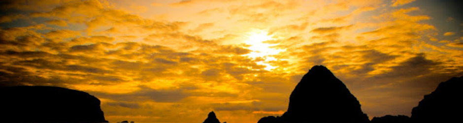 Lead System Network Profits