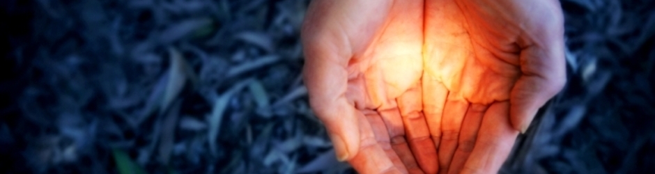 Best Review Collections!