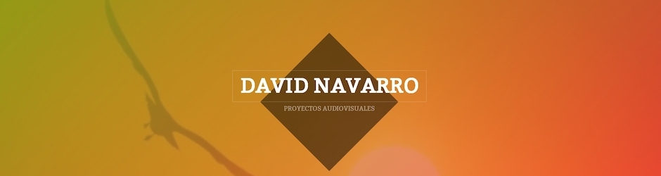 David Navarro Mena