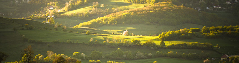 Baang Adabi Forum Pakistan