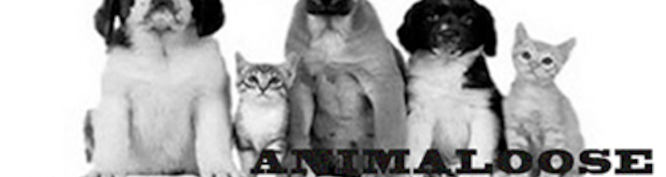 Animaloose