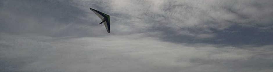 Mosquito delta glider