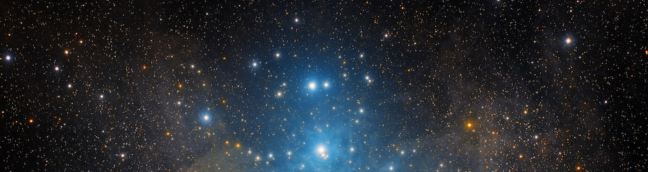 Insured Profits Review