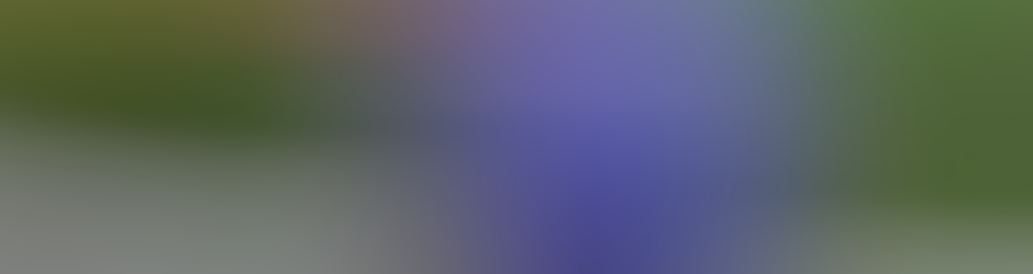 Je soutiens Le Gabon Community