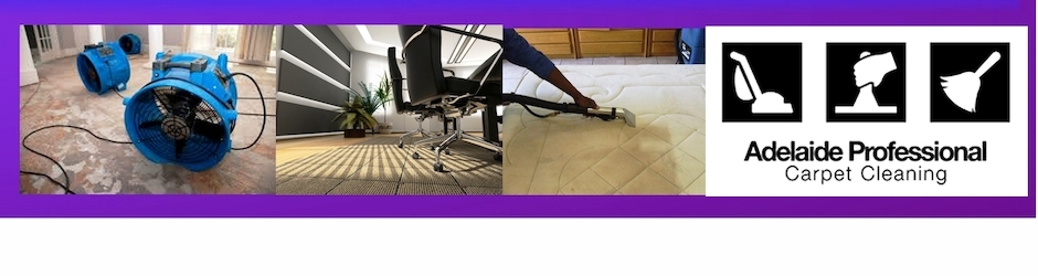 Commercial Carpet Cleaning