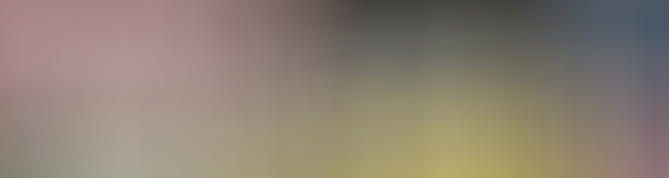 Phyllis Frankel Realty Group