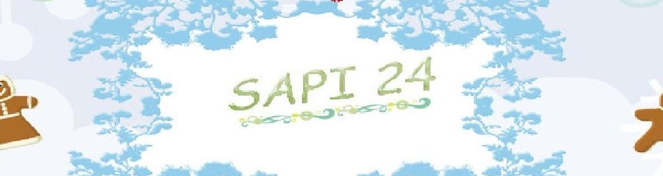 SAPI 24